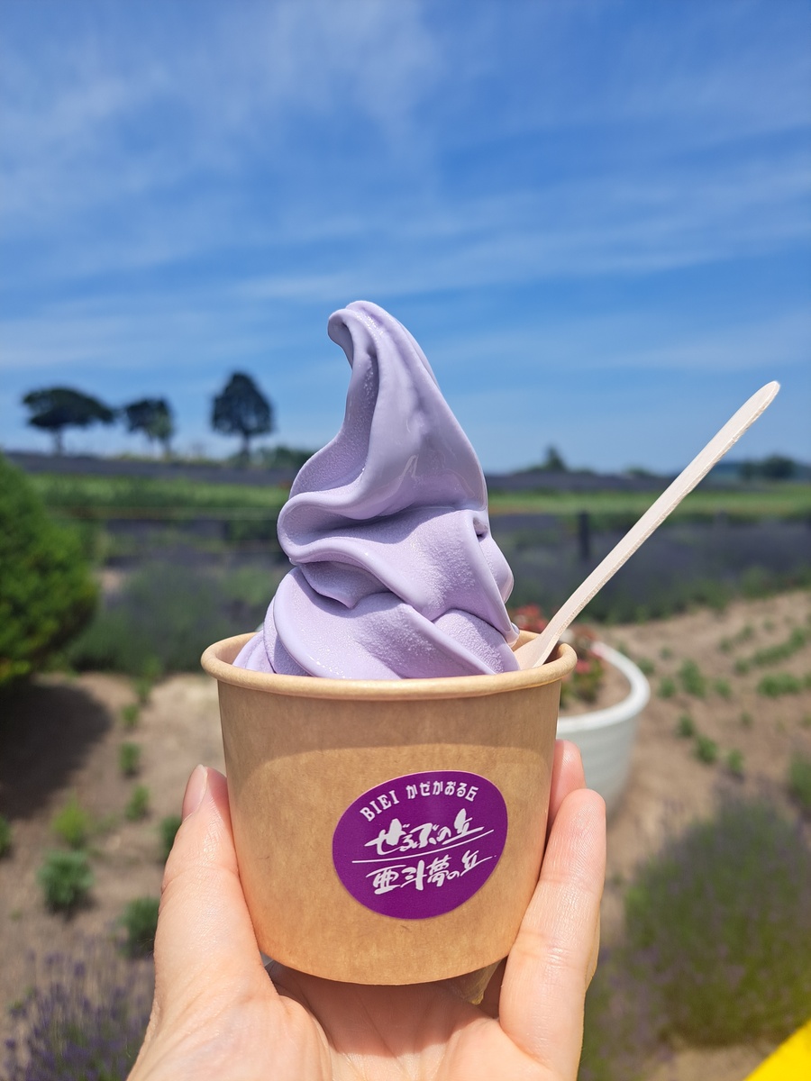 旭川から富良野までラベンダー観光！！お目当てのラベンダーソフト