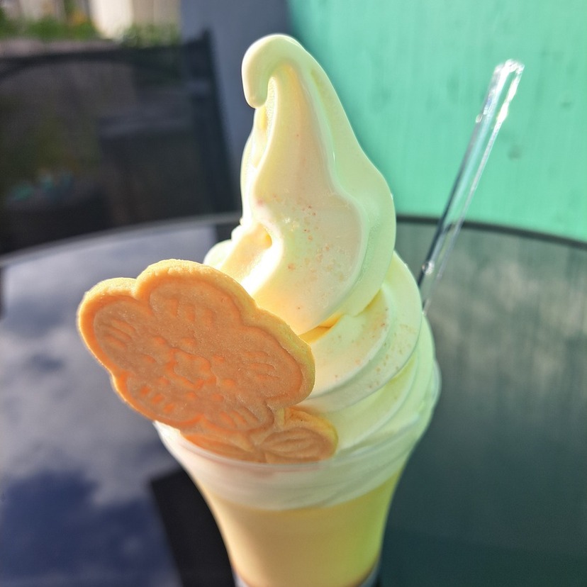 暑い日の気分転換に！！パッと買えてパッと食べられるお持ち帰りソフトクリーム３選