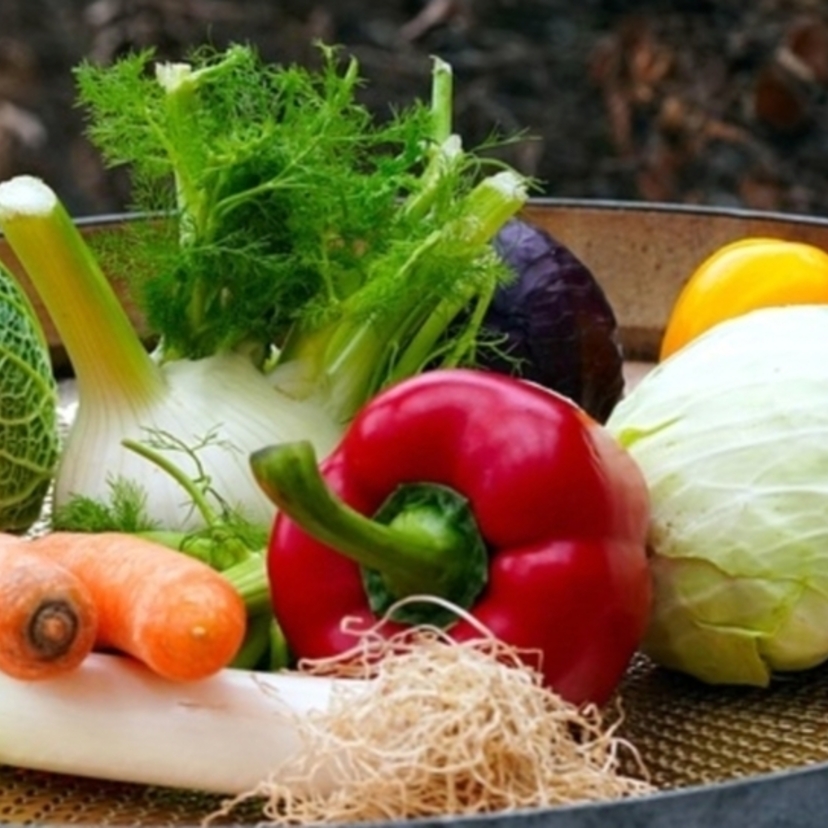 野菜を少しでも長持ちさせる方法とは？簡単便利な鮮度保持袋を使ってフードロスを削減しよう