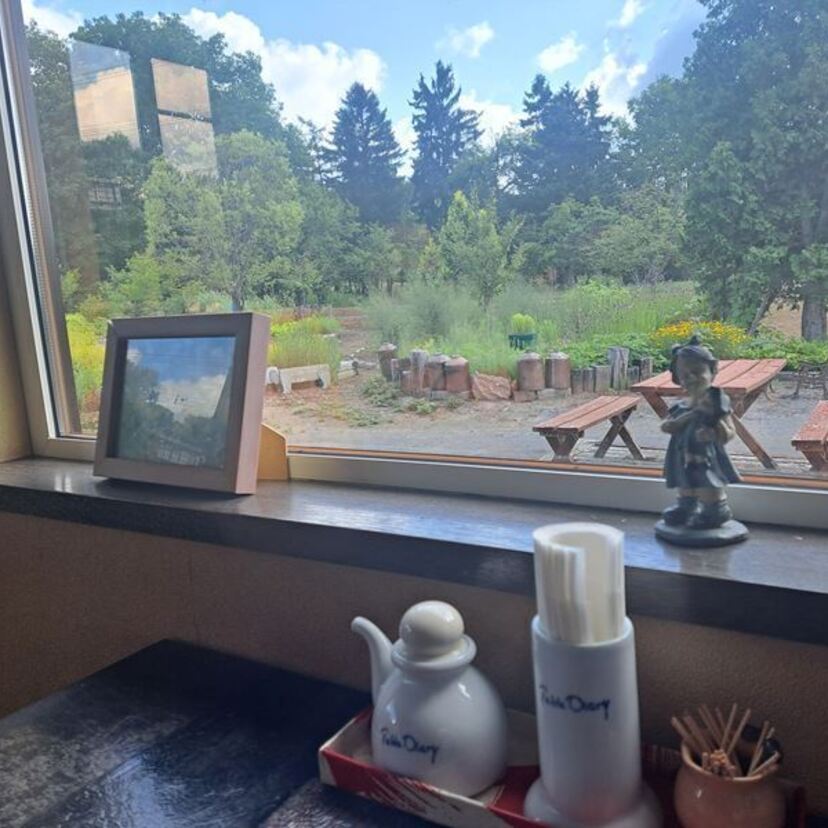 涼しさ求めて果物狩り？と冷たいもの