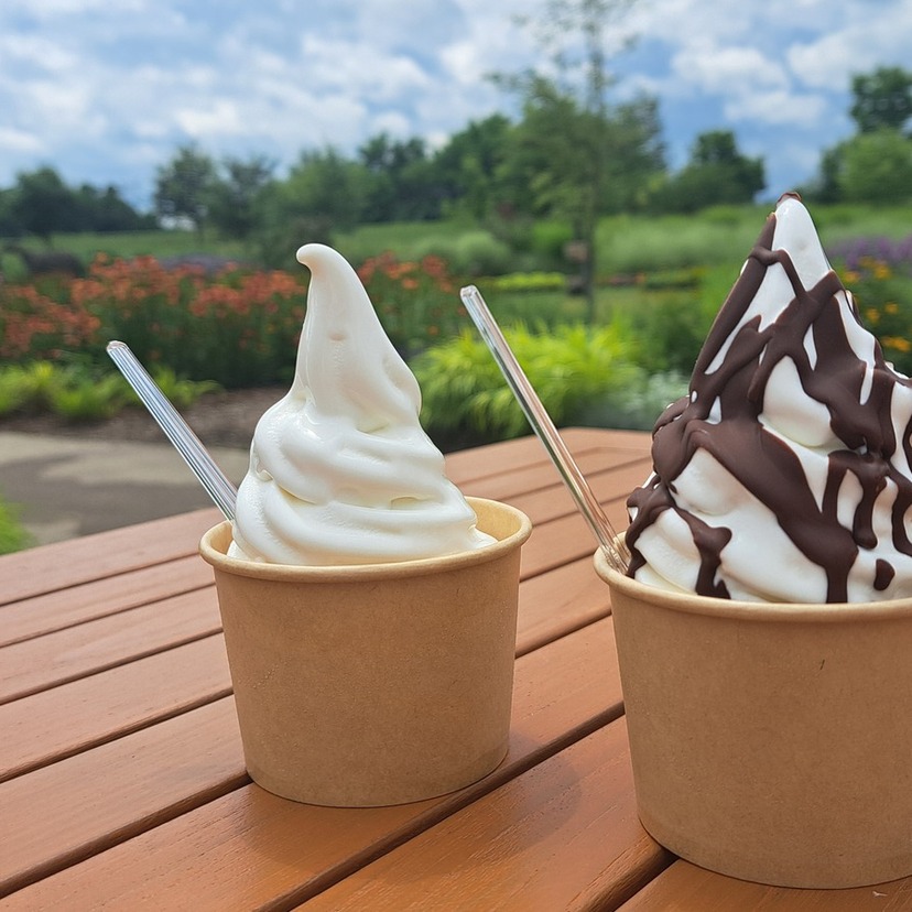 真夏に最高！！熱い体にひんやり冷たくおいしいソフトクリームなど３選