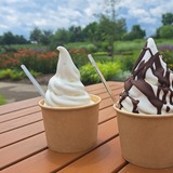 真夏に最高！！熱い体にひんやり冷たくおいしいソフトクリームなど３選