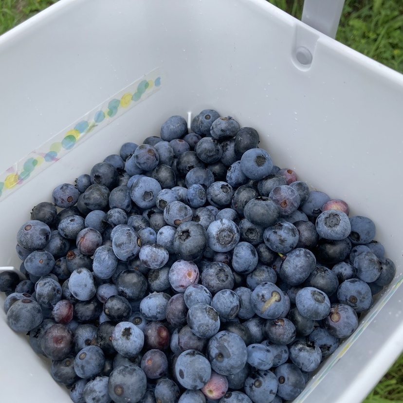 【旭川のお隣】自然と味覚に癒される！当麻町ぶらり旅