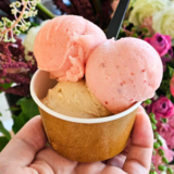 【旭川市】オープンしたばかりのお店2つのジェラートが美味しすぎる！