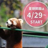 【旭山動物園】4月28日（火）まで夏期開園準備のため休園中です