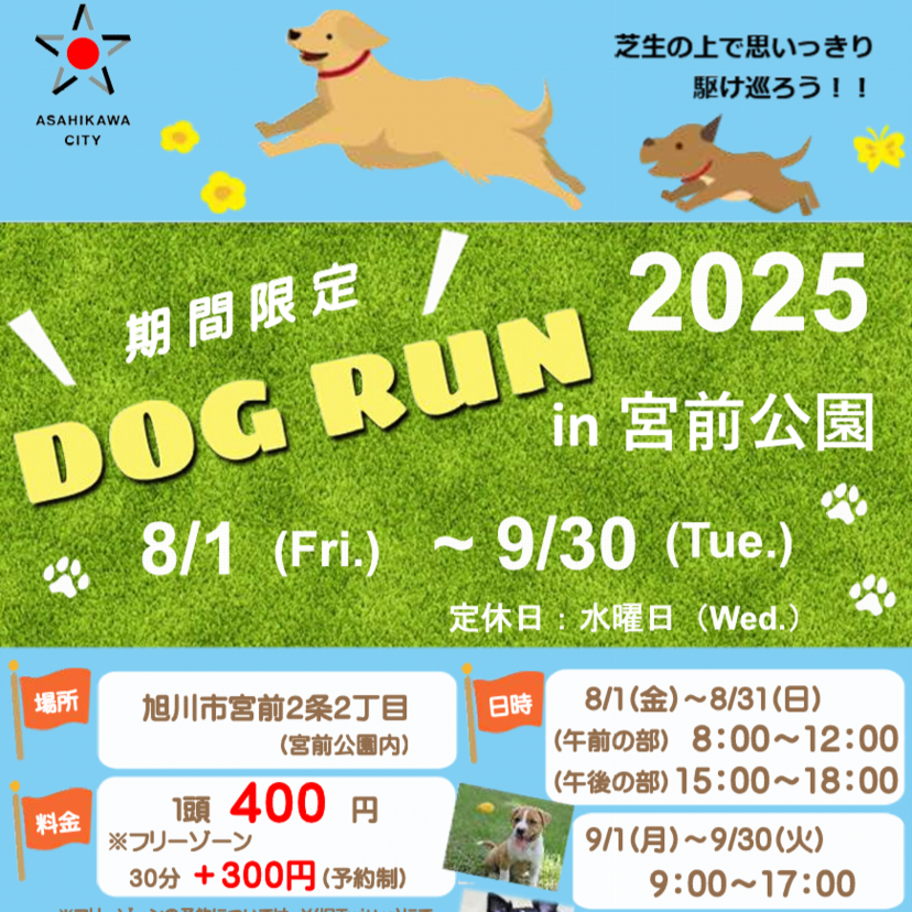 【9月30日まで】宮前公園内で期間限定ドッグラン開催中！