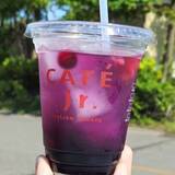 まだまだ暑い旭川でおすすめのテイクアウト炭酸ドリンク