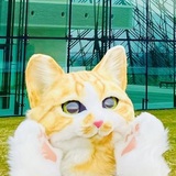 北乃猫企画